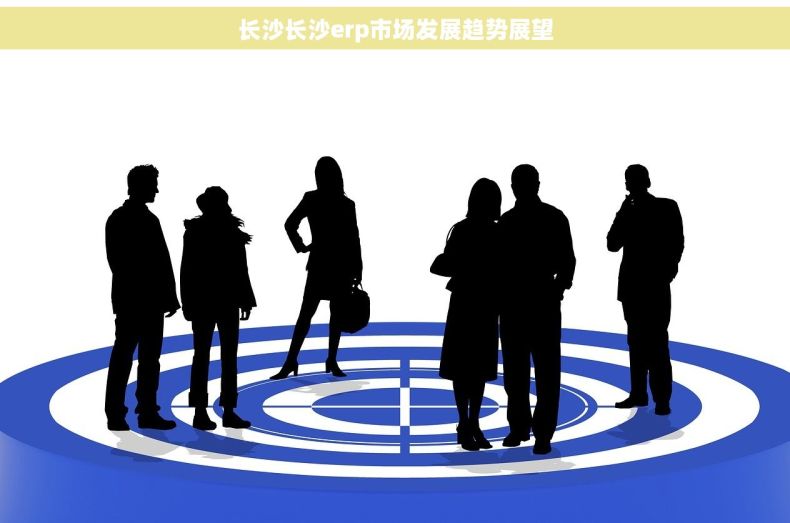 长沙长沙erp市场发展趋势展望