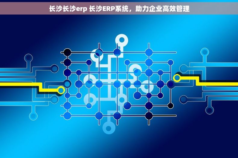 长沙长沙erp 长沙ERP系统，助力企业高效管理