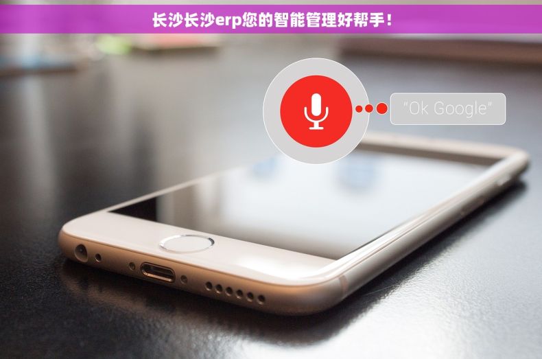 长沙长沙erp您的智能管理好帮手！