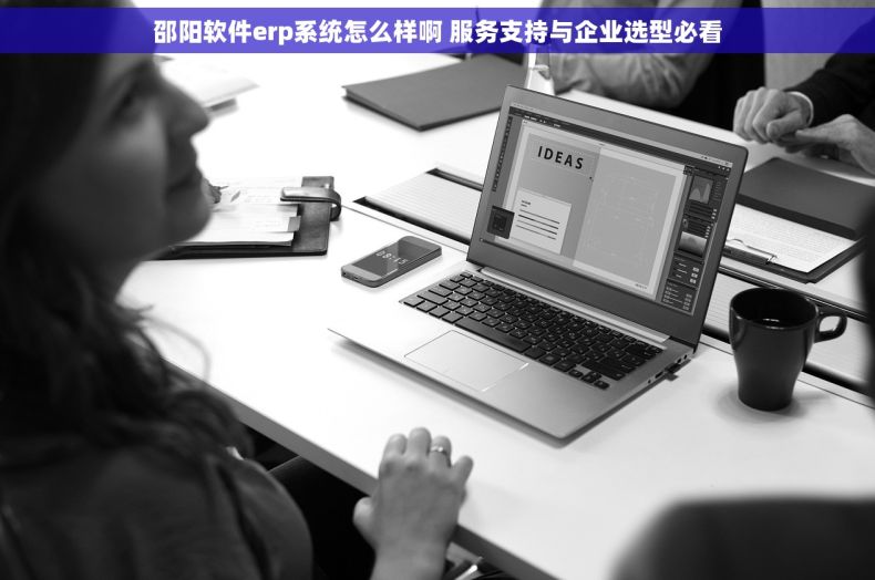 邵阳软件erp系统怎么样啊 服务支持与企业选型必看