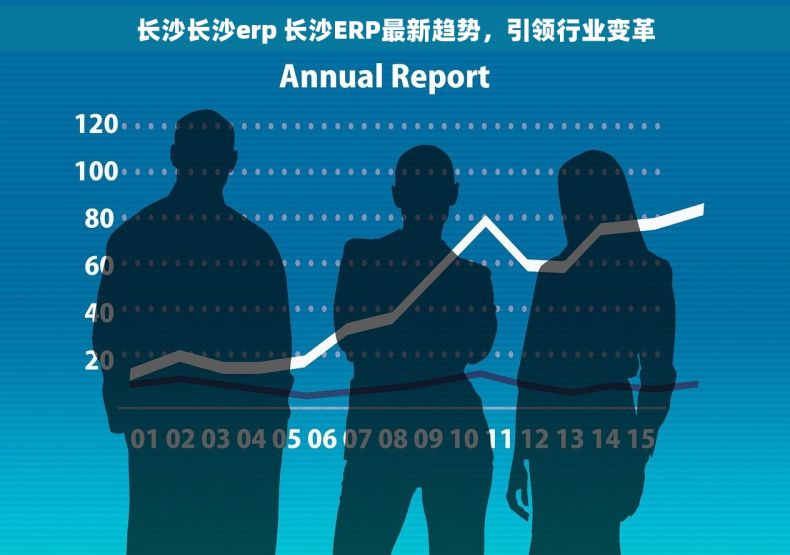 长沙长沙erp 长沙ERP最新趋势，引领行业变革