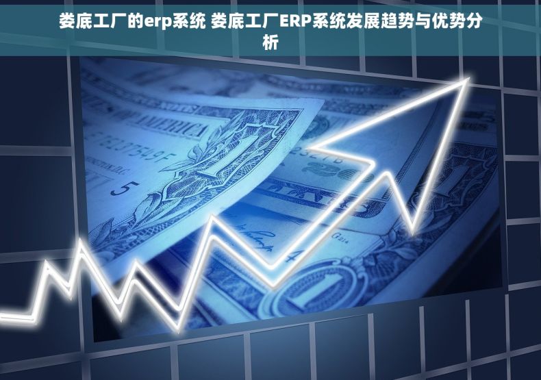 娄底工厂的erp系统 娄底工厂ERP系统发展趋势与优势分析