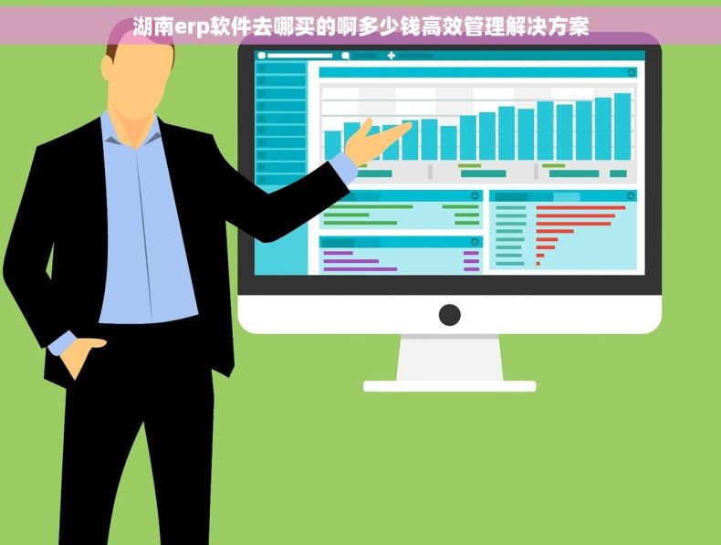 湖南erp软件去哪买的啊多少钱高效管理解决方案