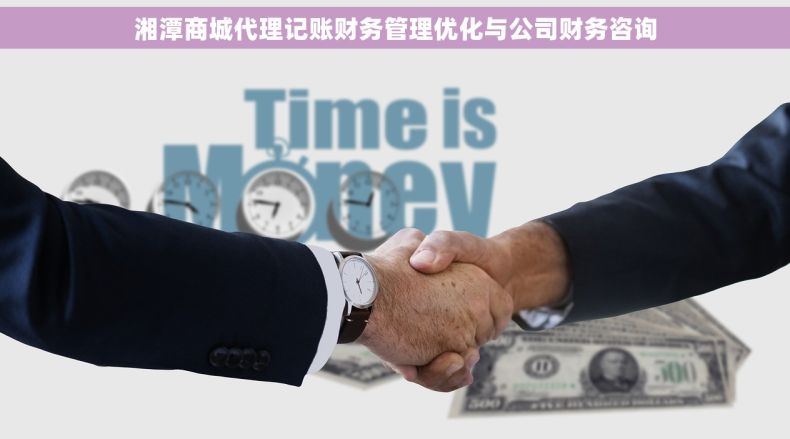 湘潭商城代理记账财务管理优化与公司财务咨询