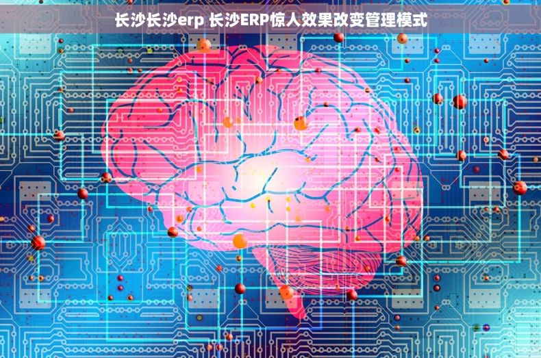 长沙长沙erp 长沙ERP惊人效果改变管理模式