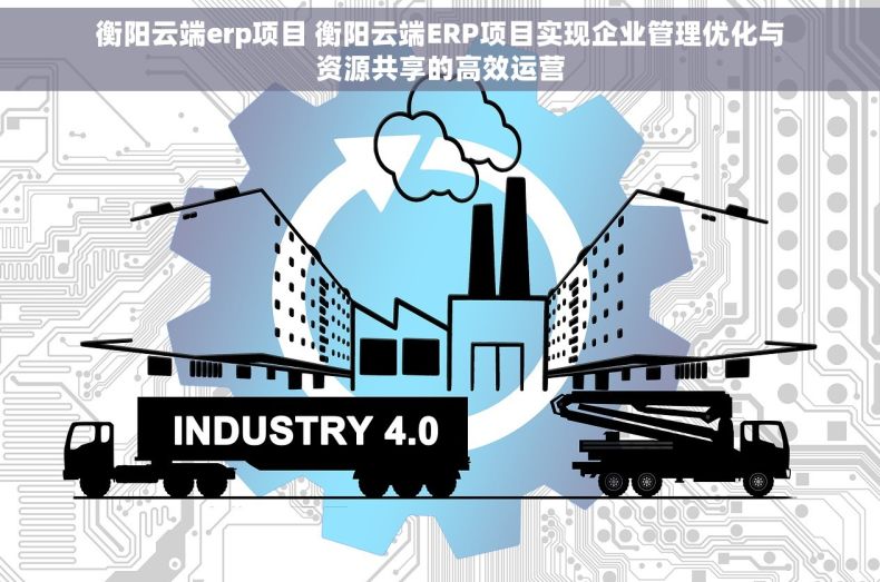衡阳云端erp项目 衡阳云端ERP项目实现企业管理优化与资源共享的高效运营