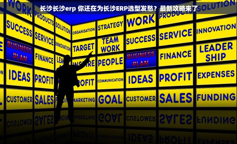 长沙长沙erp 你还在为长沙ERP选型发愁？最新攻略来了