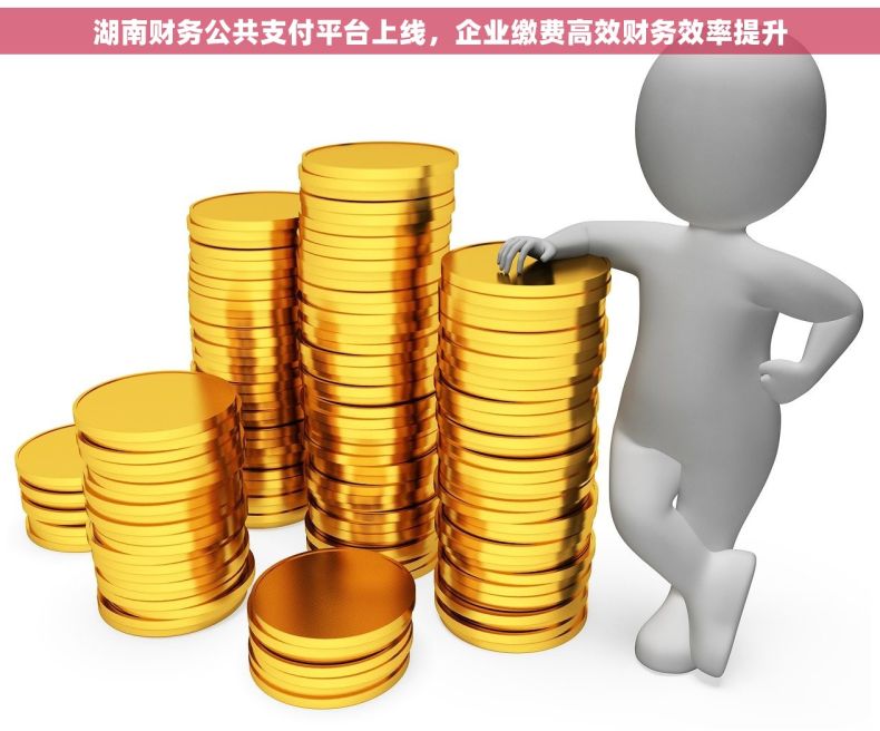 湖南财务公共支付平台上线，企业缴费高效财务效率提升