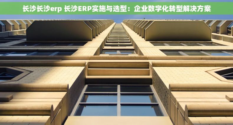 长沙长沙erp 长沙ERP实施与选型：企业数字化转型解决方案
