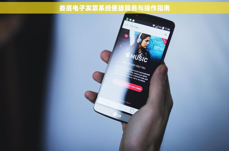 娄底电子发票系统便捷服务与操作指南