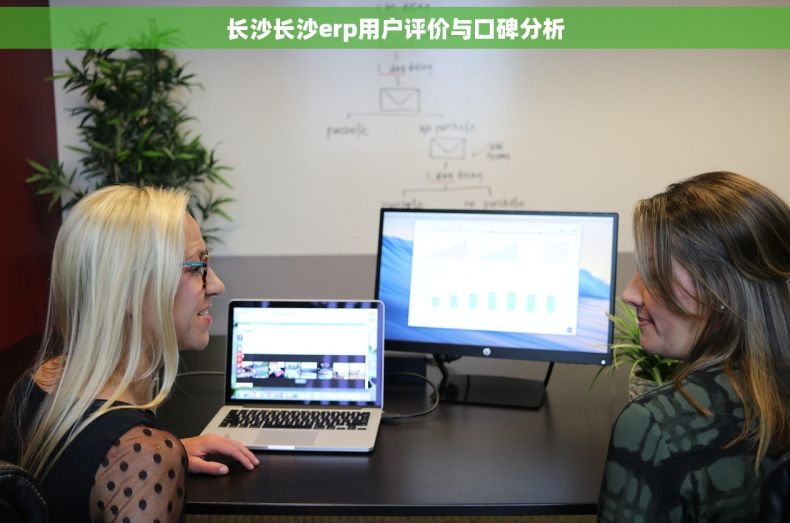 长沙长沙erp用户评价与口碑分析