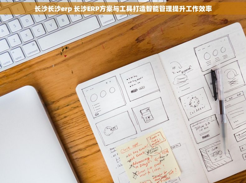 长沙长沙erp 长沙ERP方案与工具打造智能管理提升工作效率