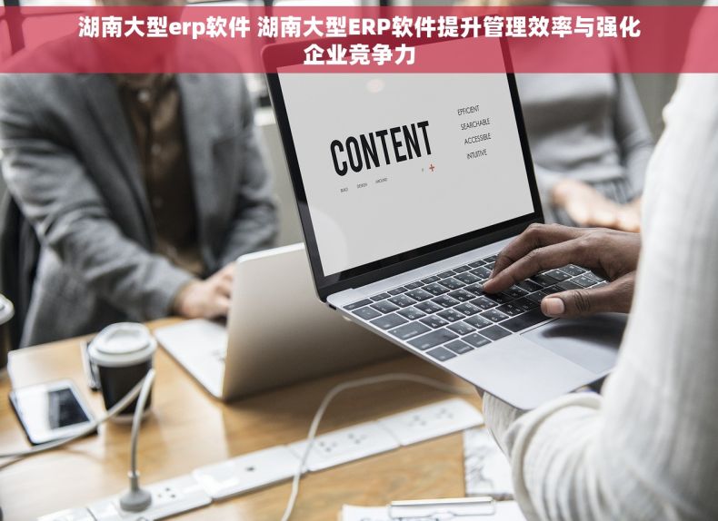 湖南大型erp软件 湖南大型ERP软件提升管理效率与强化企业竞争力