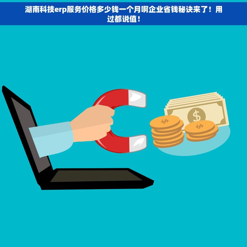 湖南科技erp服务价格多少钱一个月啊企业省钱秘诀来了！用过都说值！