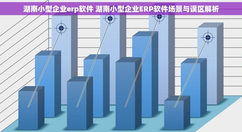 湖南小型企业erp软件 湖南小型企业ERP软件场景与误区解析