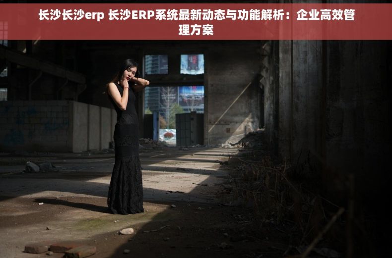长沙长沙erp 长沙ERP系统最新动态与功能解析：企业高效管理方案