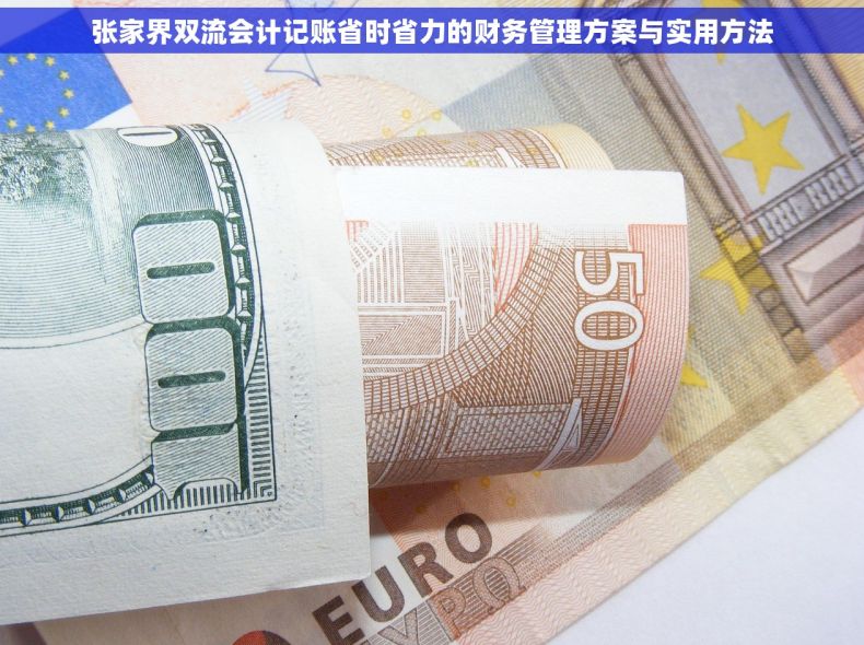 张家界双流会计记账省时省力的财务管理方案与实用方法