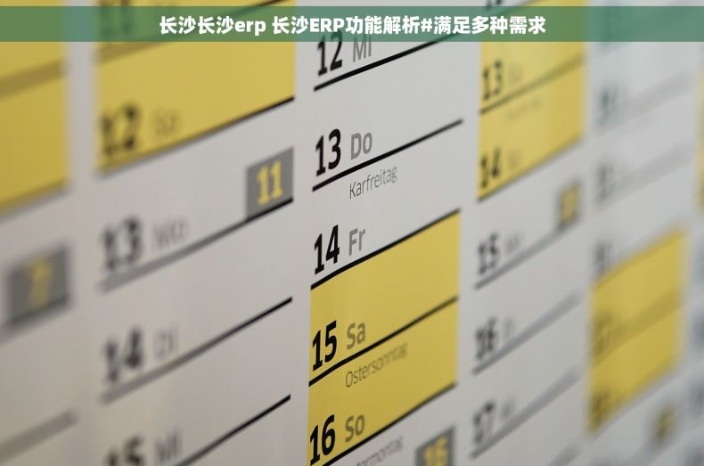 长沙长沙erp 长沙ERP功能解析#满足多种需求
