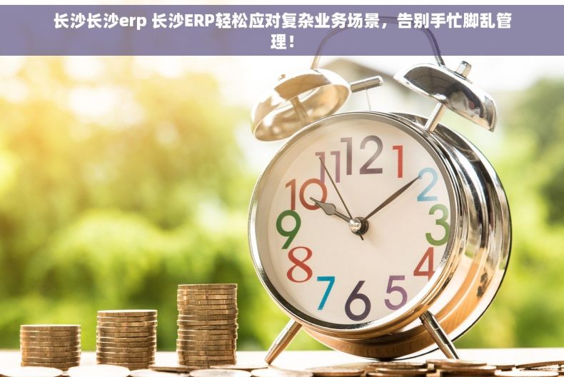 长沙长沙erp 长沙ERP轻松应对复杂业务场景，告别手忙脚乱管理！