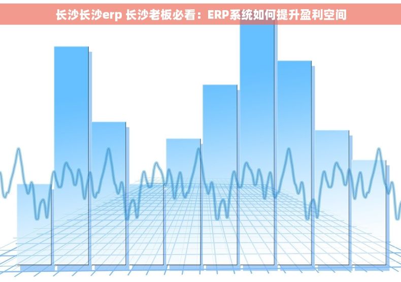 长沙长沙erp 长沙老板必看：ERP系统如何提升盈利空间