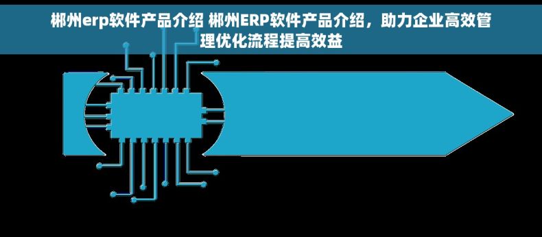 郴州erp软件产品介绍 郴州ERP软件产品介绍，助力企业高效管理优化流程提高效益