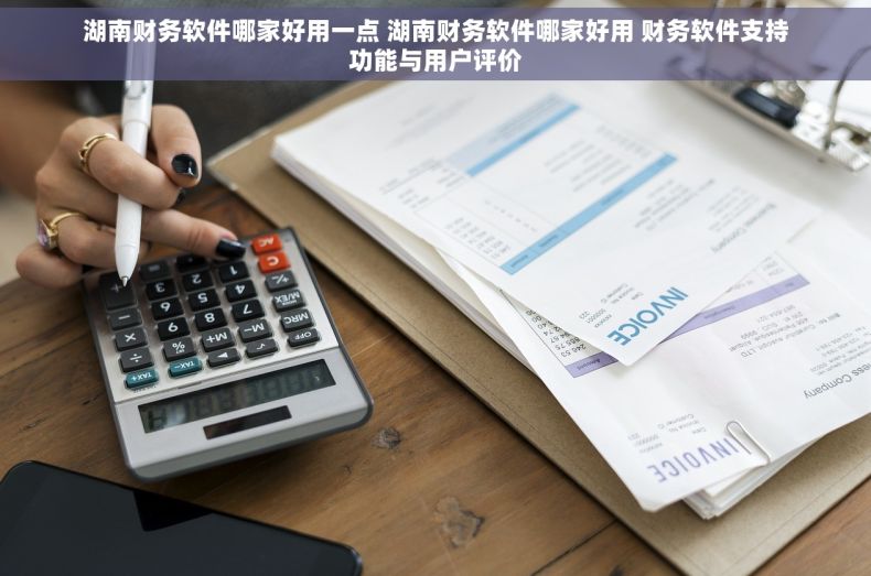 湖南财务软件哪家好用一点 湖南财务软件哪家好用 财务软件支持功能与用户评价