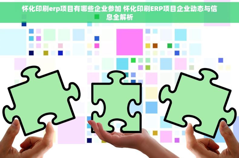 怀化印刷erp项目有哪些企业参加 怀化印刷ERP项目企业动态与信息全解析