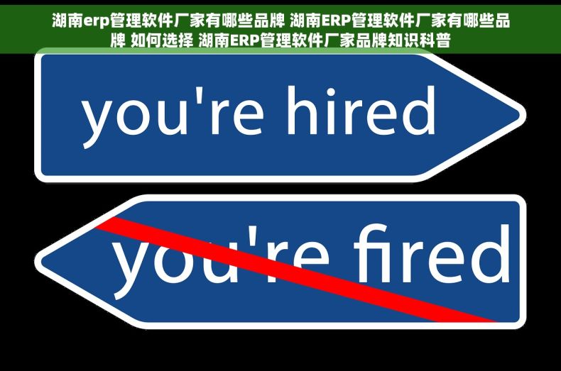 湖南erp管理软件厂家有哪些品牌 湖南ERP管理软件厂家有哪些品牌 如何选择 湖南ERP管理软件厂家品牌知识科普