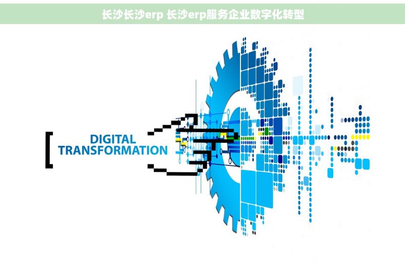 长沙长沙erp 长沙erp服务企业数字化转型