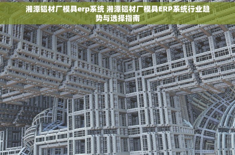 湘潭铝材厂模具erp系统 湘潭铝材厂模具ERP系统行业趋势与选择指南