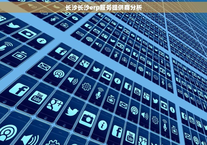 长沙长沙erp服务提供商分析