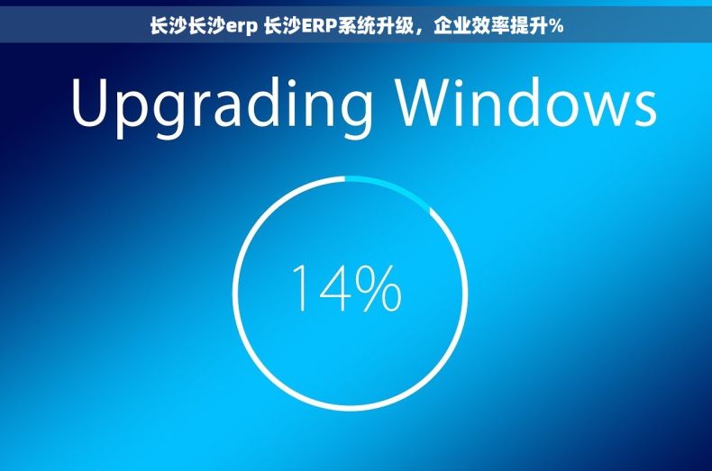 长沙长沙erp 长沙ERP系统升级，企业效率提升%