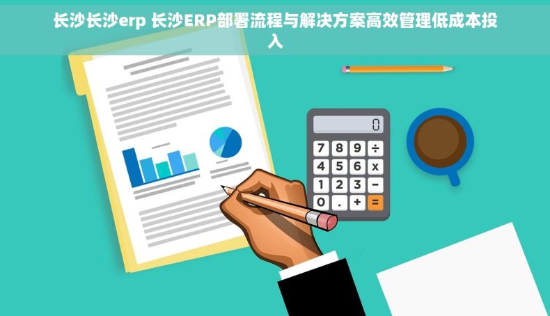 长沙长沙erp 长沙ERP部署流程与解决方案高效管理低成本投入