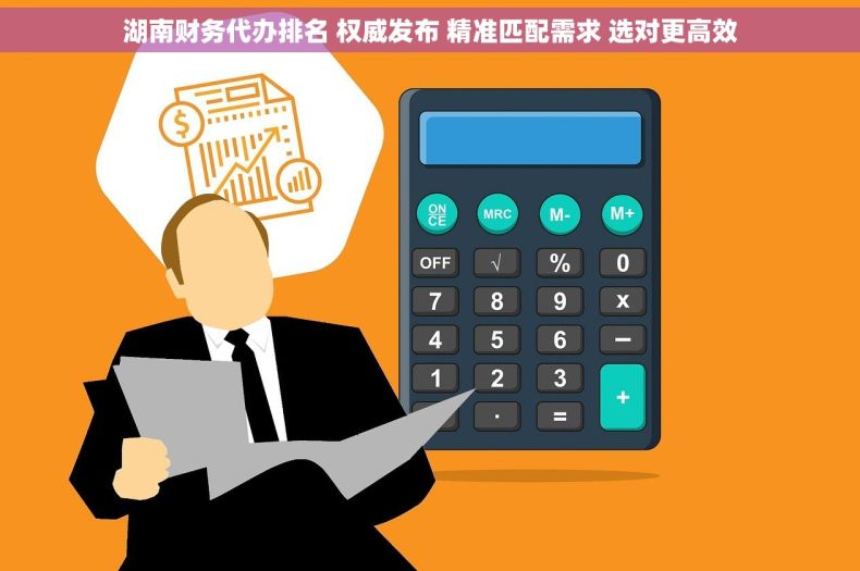 湖南财务代办排名 权威发布 精准匹配需求 选对更高效