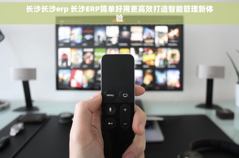 长沙长沙erp 长沙ERP简单好用更高效打造智能管理新体验