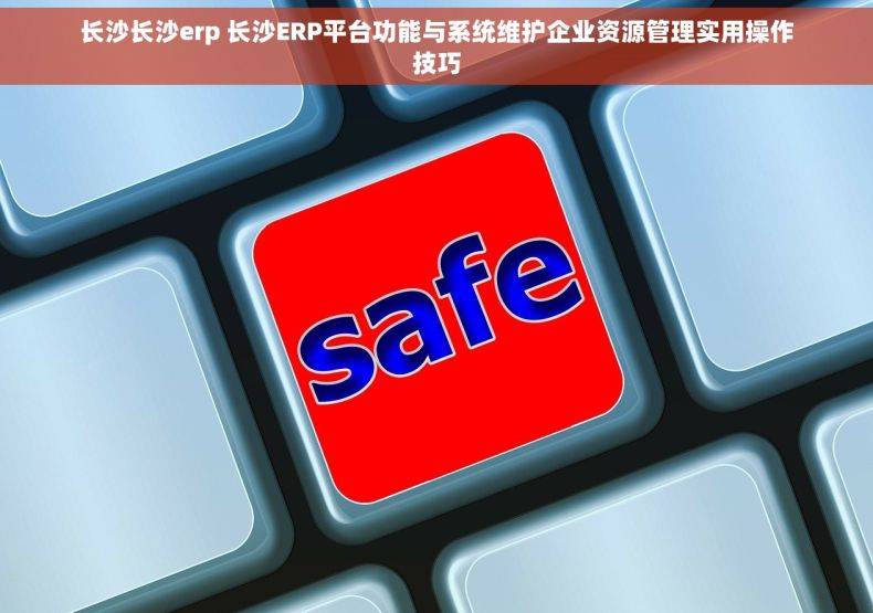 长沙长沙erp 长沙ERP平台功能与系统维护企业资源管理实用操作技巧