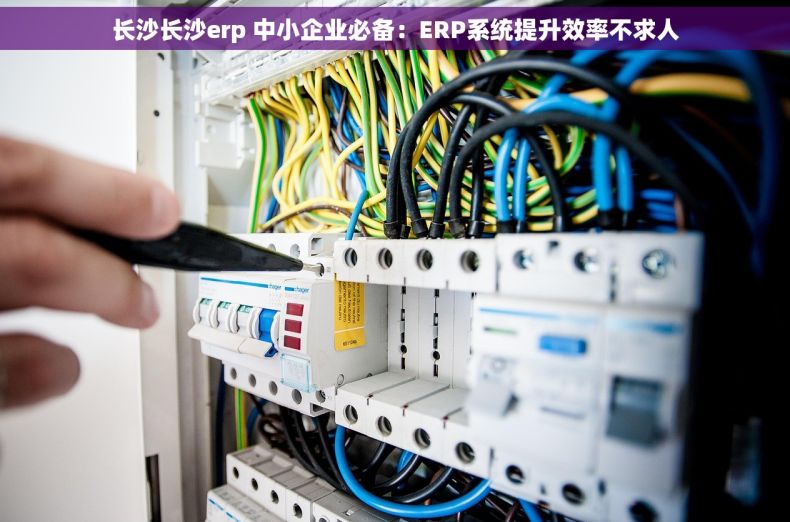 长沙长沙erp 中小企业必备：ERP系统提升效率不求人