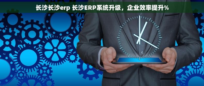 长沙长沙erp 长沙ERP系统升级，企业效率提升%