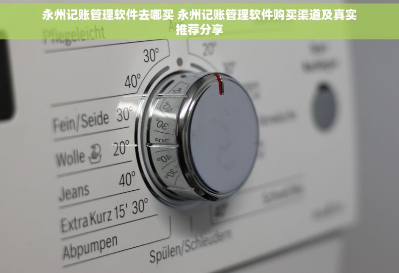 永州记账管理软件去哪买 永州记账管理软件购买渠道及真实推荐分享