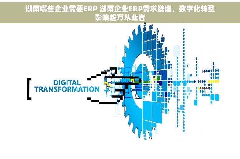湖南哪些企业需要ERP 湖南企业ERP需求激增，数字化转型影响超万从业者