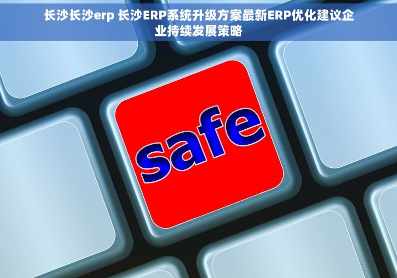 长沙长沙erp 长沙ERP系统升级方案最新ERP优化建议企业持续发展策略