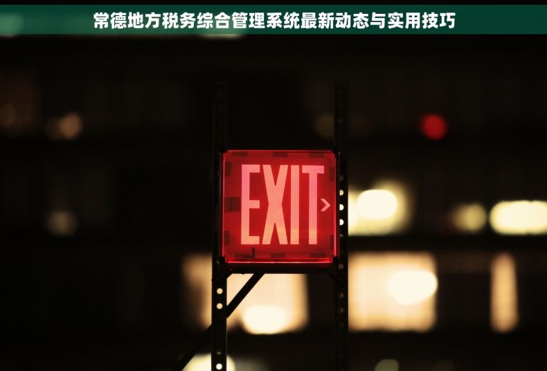 常德地方税务综合管理系统最新动态与实用技巧