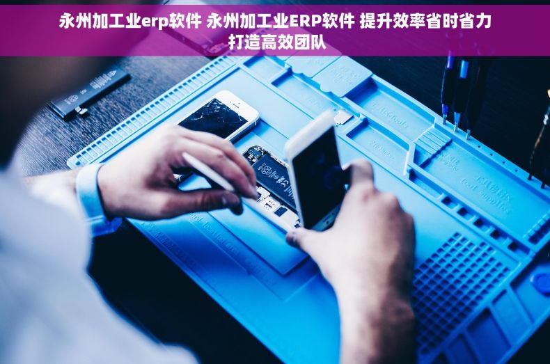 永州加工业erp软件 永州加工业ERP软件 提升效率省时省力 打造高效团队