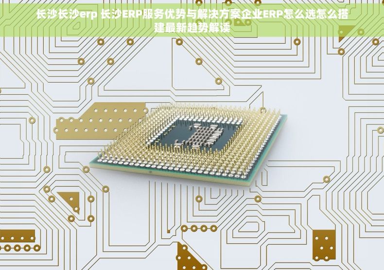 长沙长沙erp 长沙ERP服务优势与解决方案企业ERP怎么选怎么搭建最新趋势解读