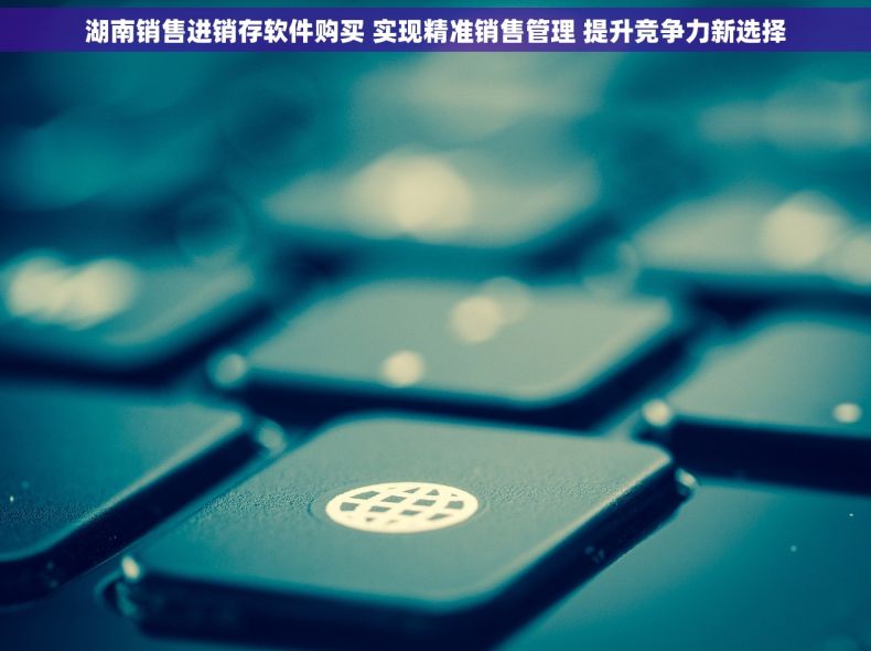 湖南销售进销存软件购买 实现精准销售管理 提升竞争力新选择