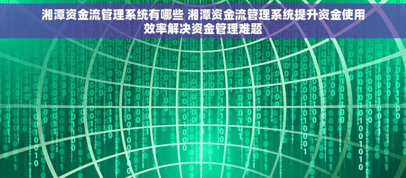 湘潭资金流管理系统有哪些 湘潭资金流管理系统提升资金使用效率解决资金管理难题