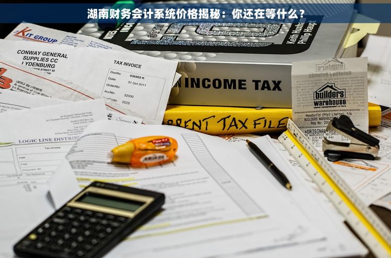湖南财务会计系统价格揭秘：你还在等什么？