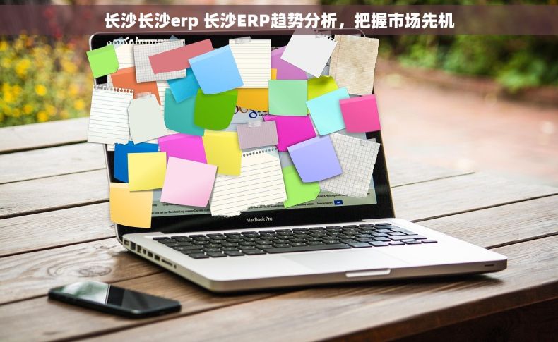 长沙长沙erp 长沙ERP趋势分析，把握市场先机