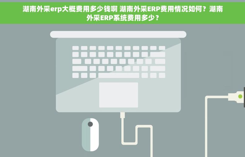 湖南外采erp大概费用多少钱啊 湖南外采ERP费用情况如何？湖南外采ERP系统费用多少？