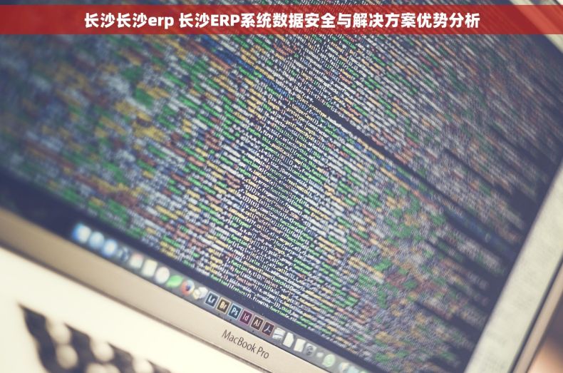 长沙长沙erp 长沙ERP系统数据安全与解决方案优势分析